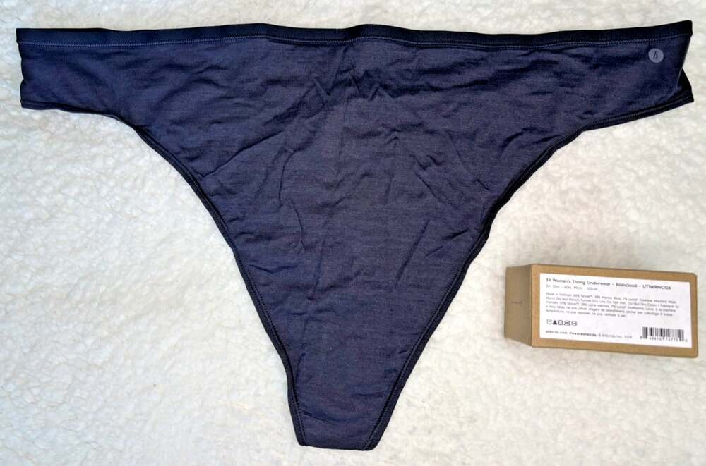 3 Pairs Allbirds Womens 3X Trino Thong Underwear Merino Wool Blend Raincloud - Picture 2 of 11